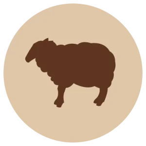 Fanimal jauhettu lammas luuton, 500g