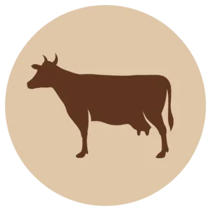Fanimal jauhettu nauta luuton, 500g