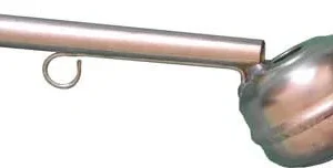Fasaanipilli -Pheasant, Phasianus colchicus