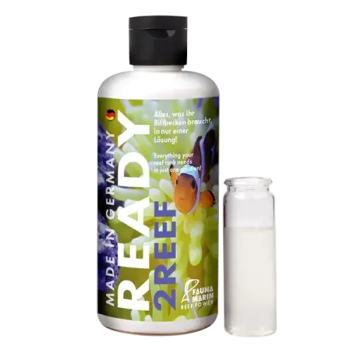 Fauna Marin Ready2Reef