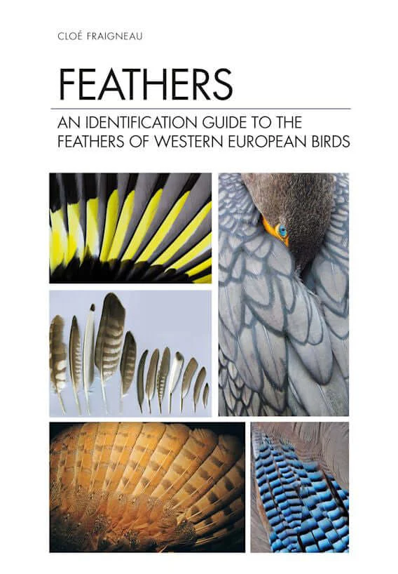 Feathers, An Identification Guide to the Feathers of Western European Birds (Cloé Fraigneau, 2022) - Image 2