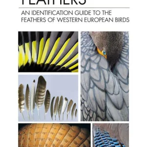 Feathers, An Identification Guide to the Feathers of Western European Birds (Cloé Fraigneau, 2022)
