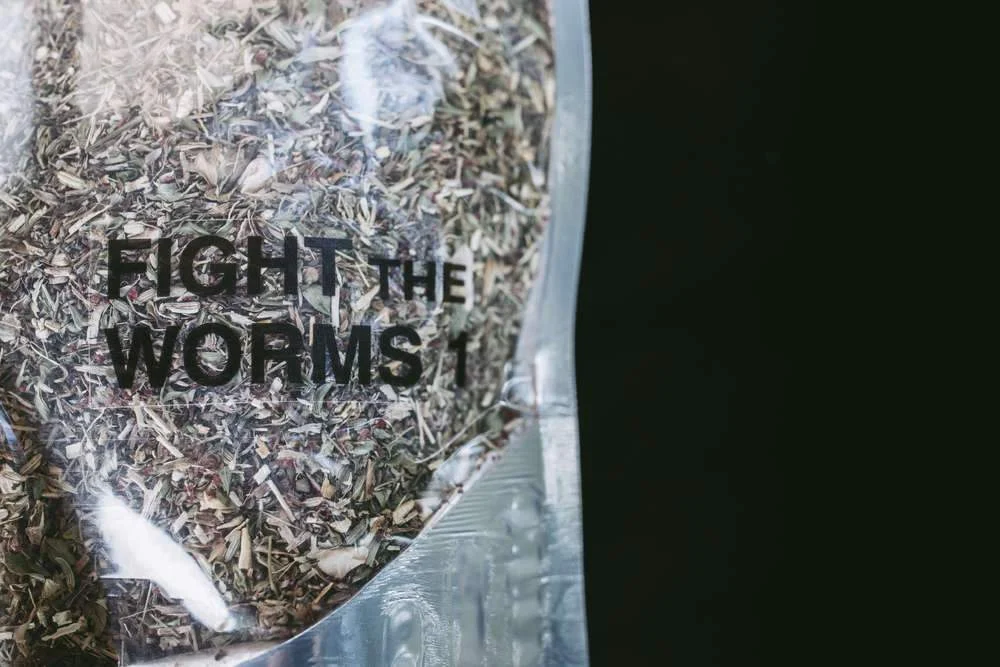 Fight The Worms 1 - Image 2