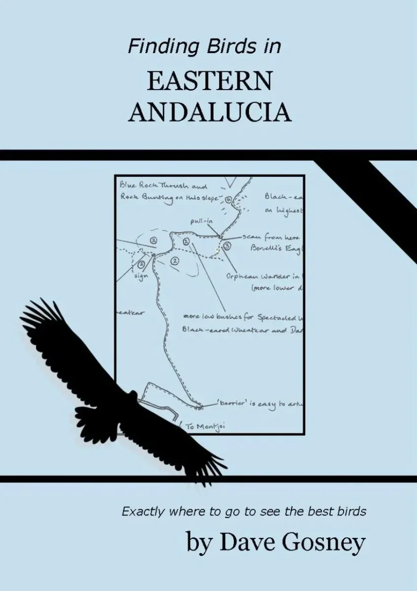 Finding bird in Eastern Andalucia – Dave Gosney 2024