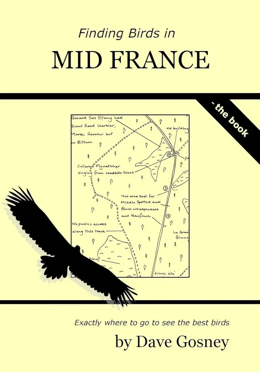 Finding bird in Mid France – Dave Gosney 2019