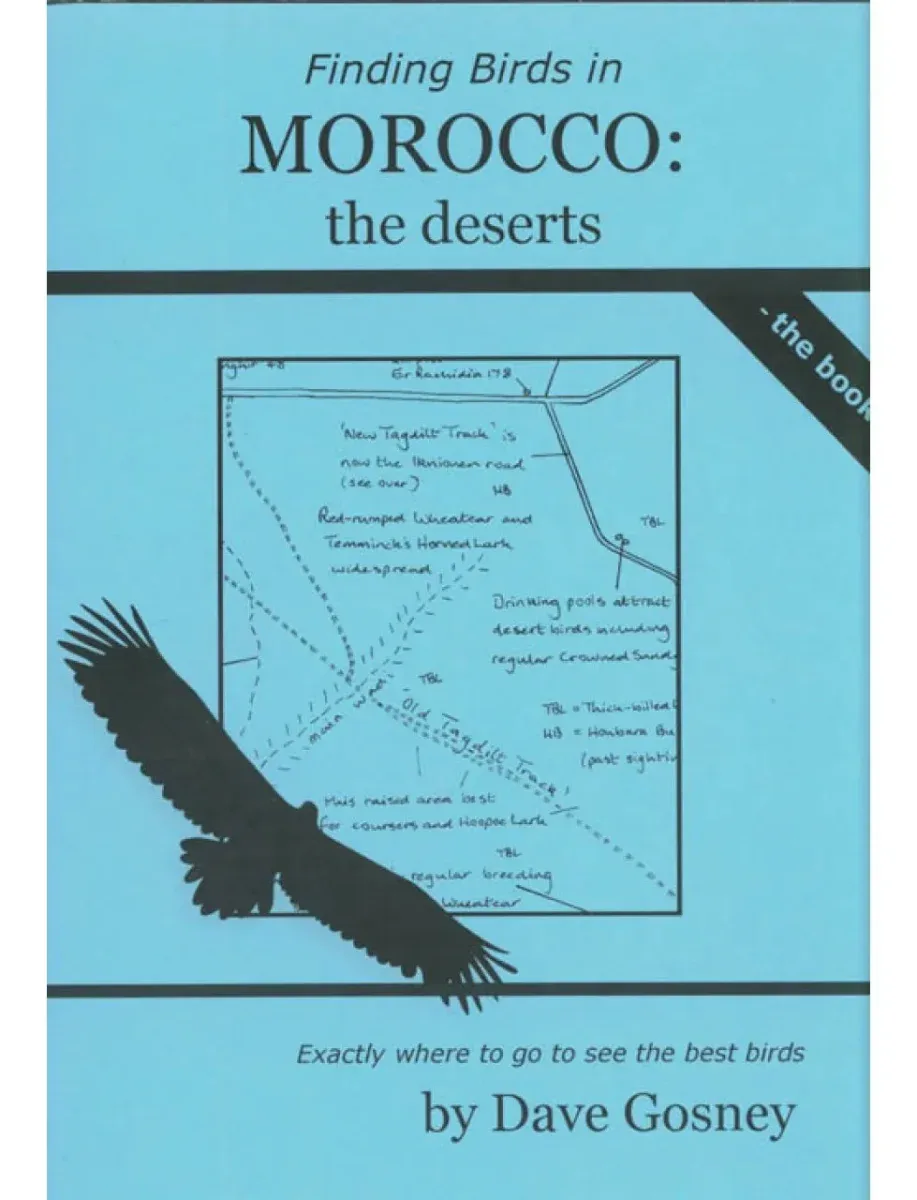 Finding bird in Morocco, the Deserts – Dave Gosney 2018