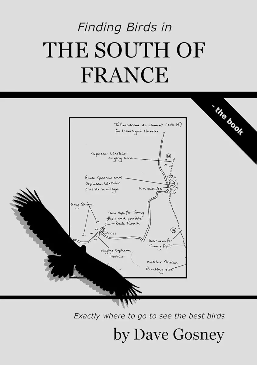 Finding bird in South of France – Dave Gosney 2010