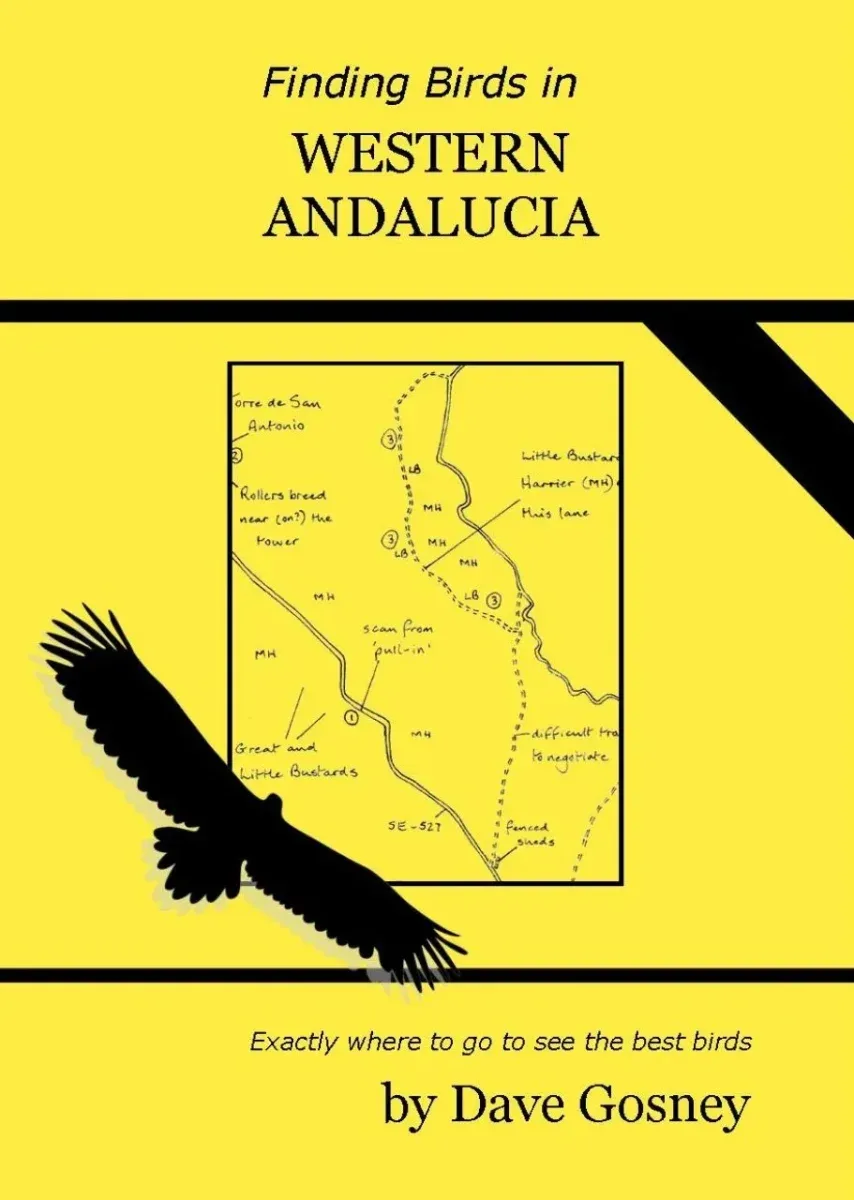 Finding bird in Western Andalucia – Dave Gosney 2024