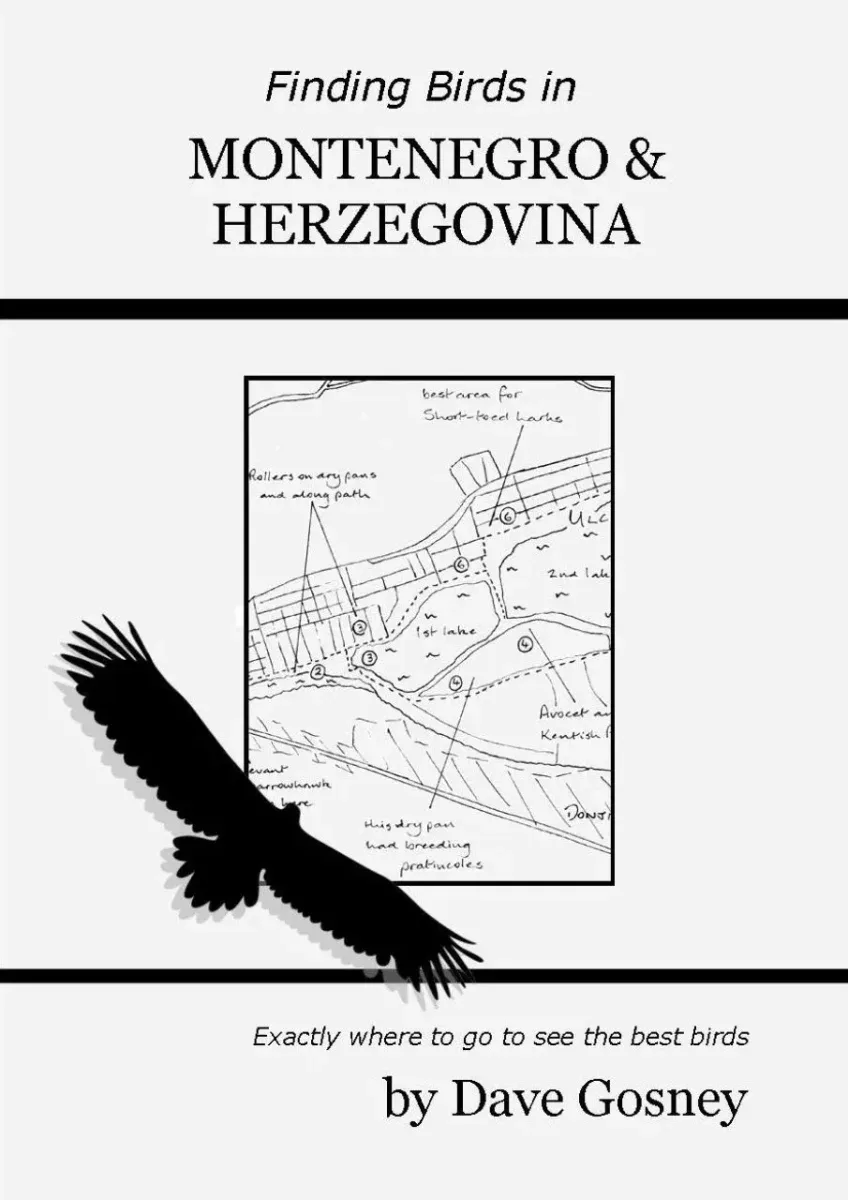 Finding Birds in Montenegro & Herzegovina – Dave Gosney 2023
