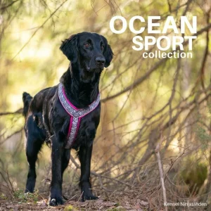 Finnero Ocean Sport y-valjas, fuksia