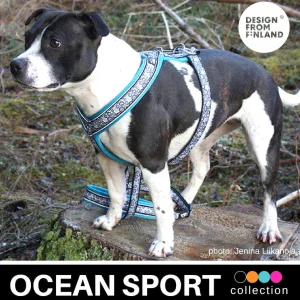 Finnero Ocean Sport Y-valjas, turkoosi