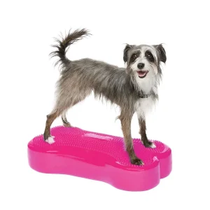 FitPaws K9FitBone, 58 x 29 x 10 cm