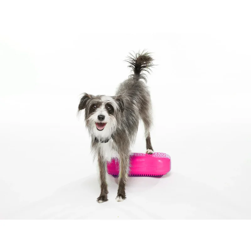 FitPAWS K9FITbone Mini koiran tasapainoalusta, 2kpl - Image 2