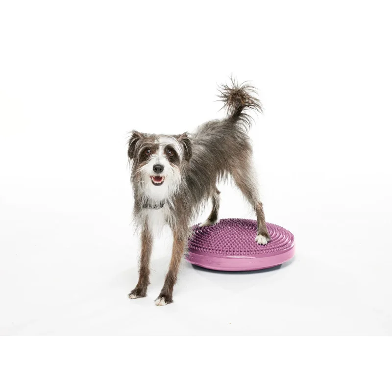 FitPAWS koiran tasapainotyyny, S ⌀ 36 cm - Image 2