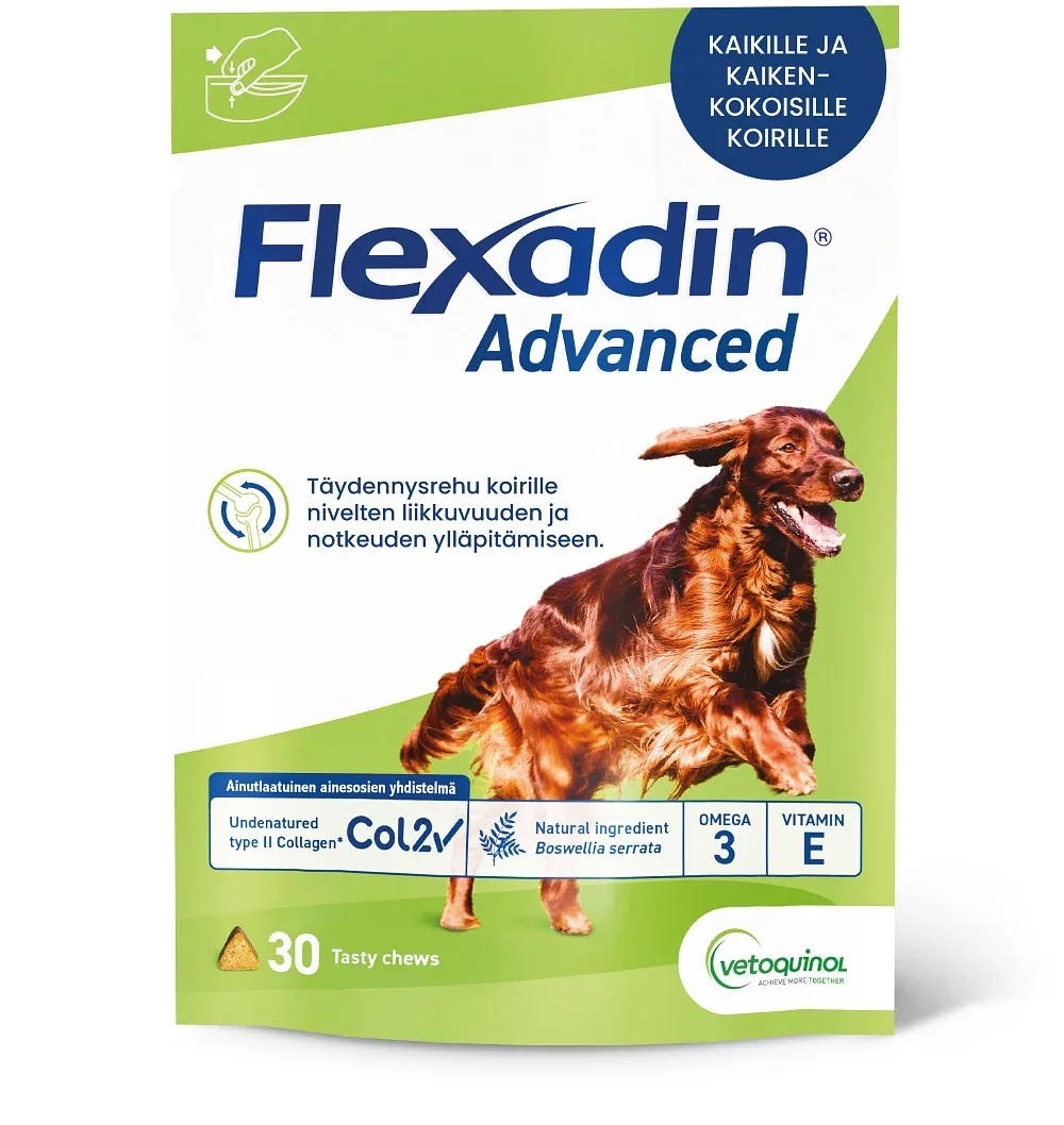 Flexadin Advanced koirille – Tukemaan nivelterveyttä