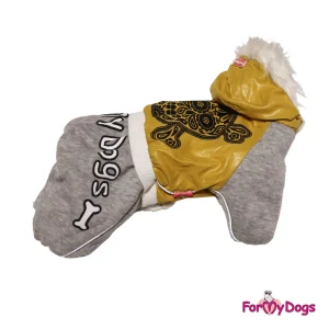 ForMyDogs lämmin collegehaalari tyttökoiralle