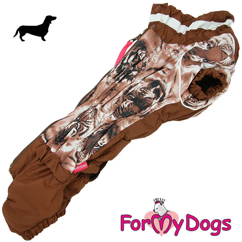 ForMyDogs mäyräkoira pojan talvihaalari, tiikeri