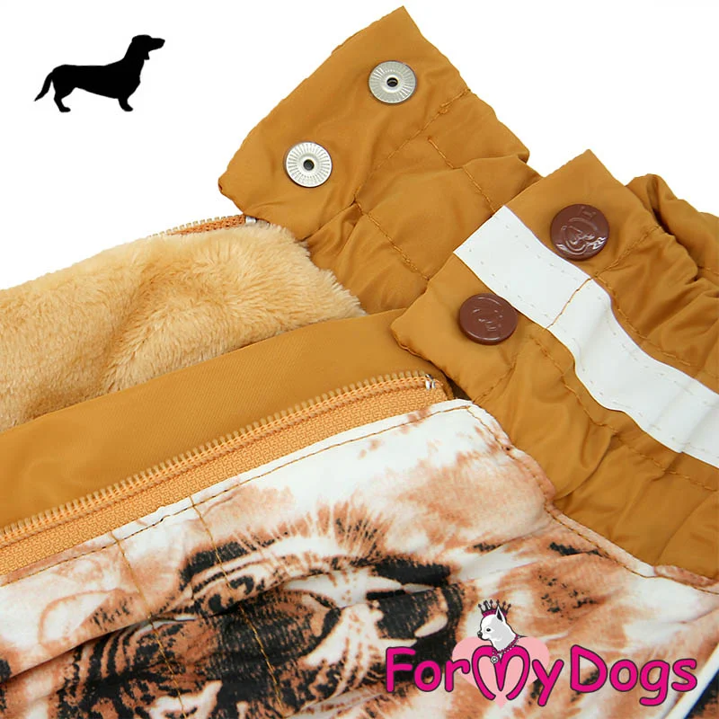 ForMyDogs mäyräkoira tytön talvihaalari, tiikeri - Image 2