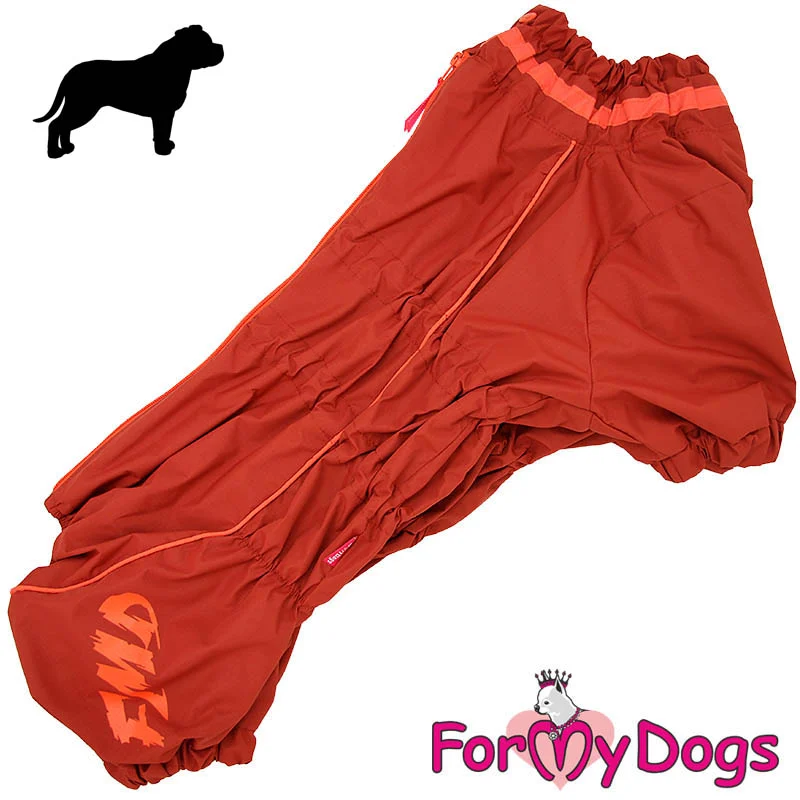 ForMyDogs syys/talvihaalari bull tyyppiselle tyttö koiralle
