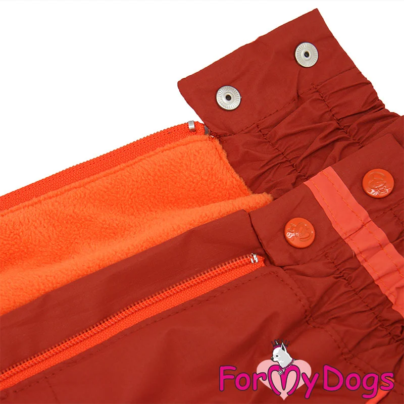 ForMyDogs syys/talvihaalari bull tyyppiselle tyttö koiralle - Image 2