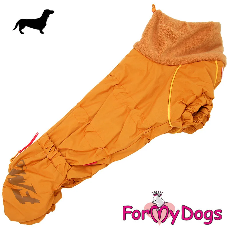 ForMyDogs talvi/syyshaalari mäyräkoira tytölle