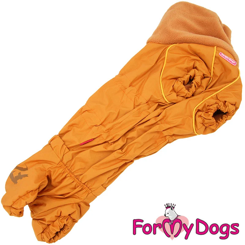ForMyDogs talvi/syyshaalari mäyräkoira tytölle - Image 2