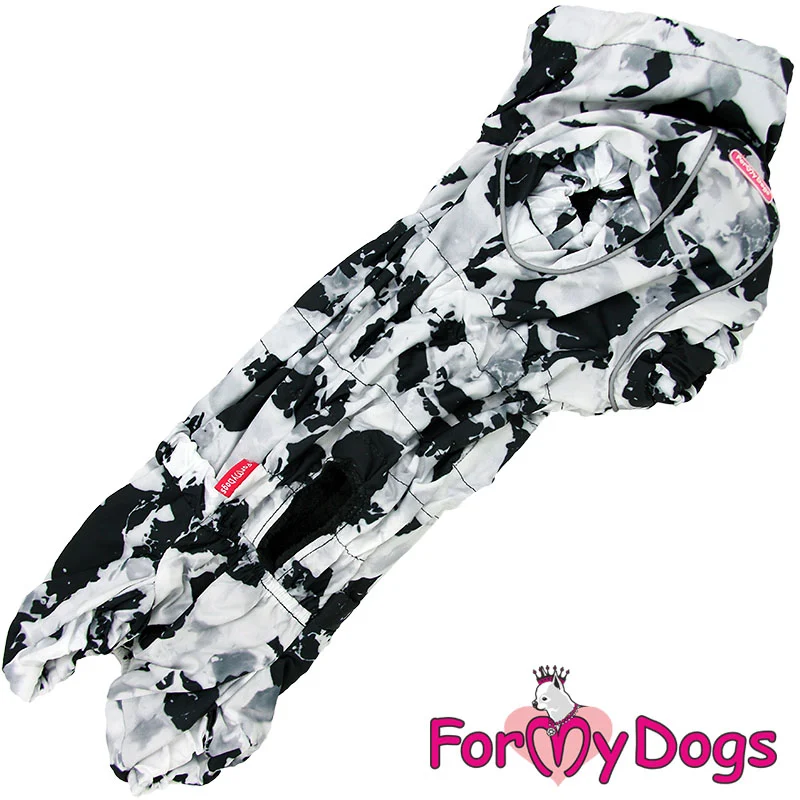 ForMyDogs talvihaalari mäyräkoira pojalle - Image 2