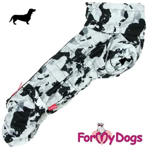 ForMyDogs talvihaalari mäyräkoira pojalle