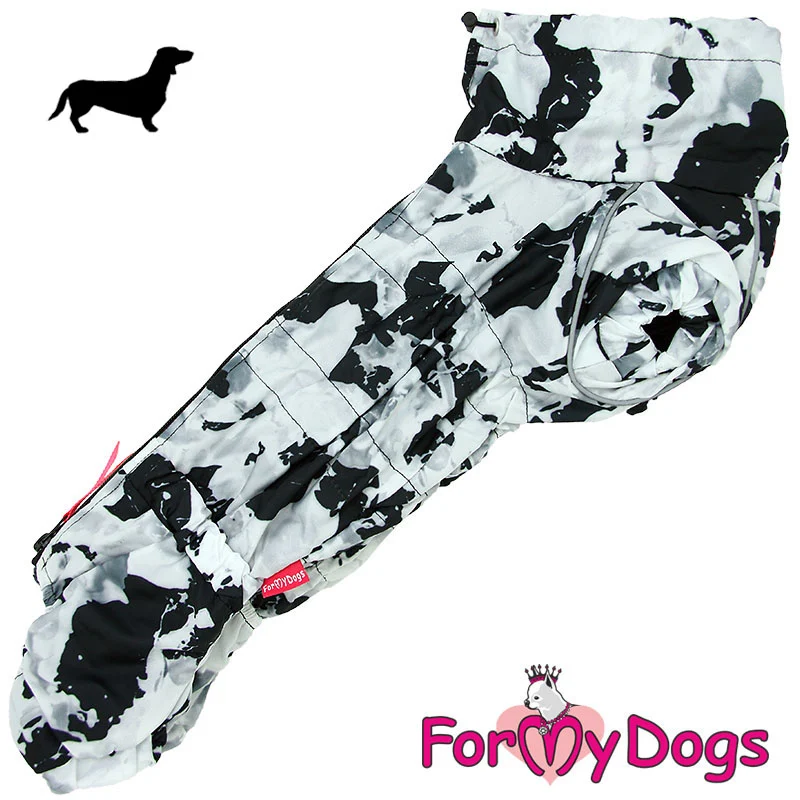 ForMyDogs talvihaalari mäyräkoira pojalle