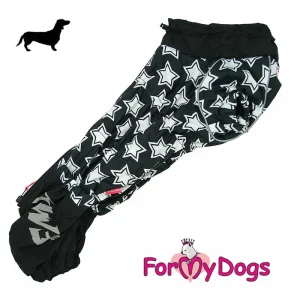 ForMyDogs talvihaalari mäyräkoira pojalle, tähtikuosi