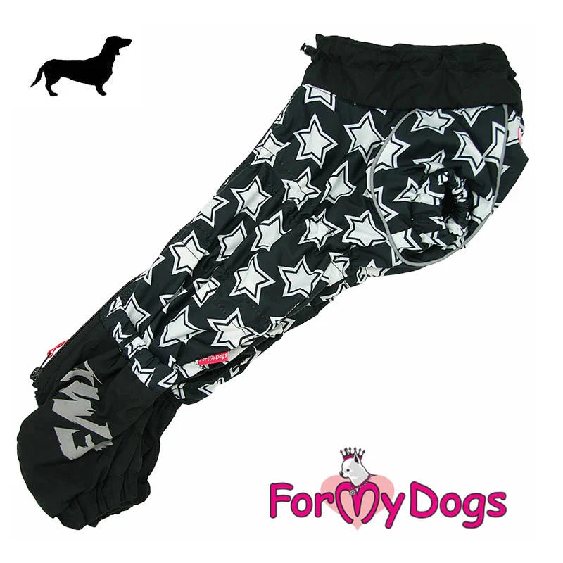ForMyDogs talvihaalari mäyräkoira pojalle, tähtikuosi