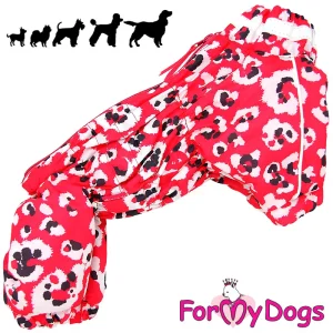 ForMyDogs talvihaalari tyttö koiralle