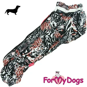 ForMyDogs talvihaalari tyttö mäyräkoiralle