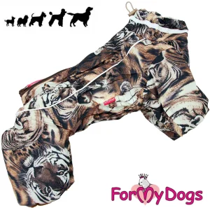 ForMyDogs talvihaalari urokselle, tiikerikuosi