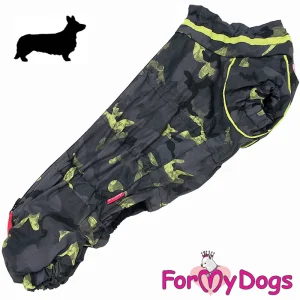 ForMyDogs talvihaalari Welsh Corgi urokselle, maastokuosi