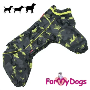 ForMyDogs uros koiran talvihaalari, maastokuosi