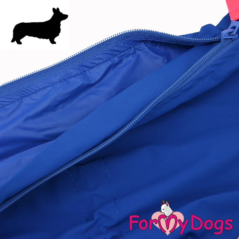 ForMyDogs välikausihaalari Welsh Corgi urokselle, sininen - Image 2