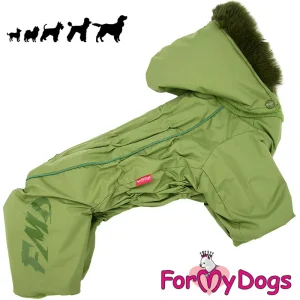 ForMyDogs vuorellinen syys/talvi haalari, poika koiralle