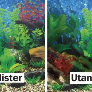 Fotofix taustakuvan liimaukseen