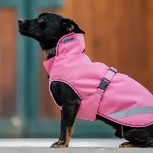 Freedom Dog Rug koiran loimi 50g, Aurora Pink ja Turquoise