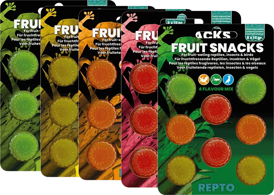 Fruit snacks