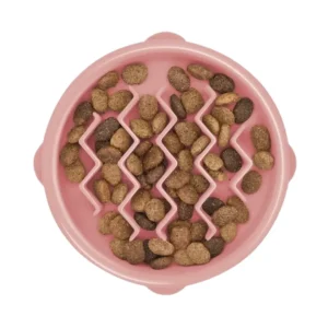 Fun Feeder Slow Bowl XS