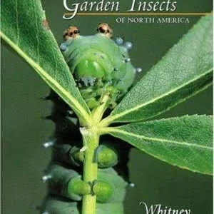 Garden Insects of North America – the ultimate guide to backyard bugs – Whitney Cranshaw 2004