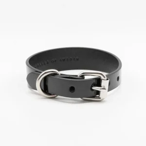 Glossy Black Dog Collar Thin