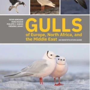 Gulls of Europe, North Africa, and the Middle East: An Identification Guide – Adriaens, P. 2021