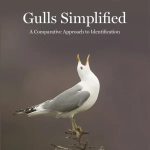 Gulls Simplified – Dunne,P. & Karlson.K. 2018
