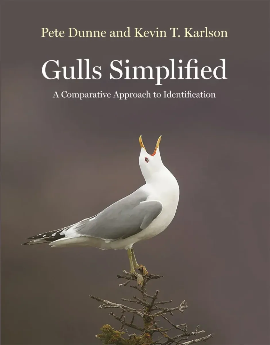 Gulls Simplified – Dunne,P. & Karlson.K. 2018