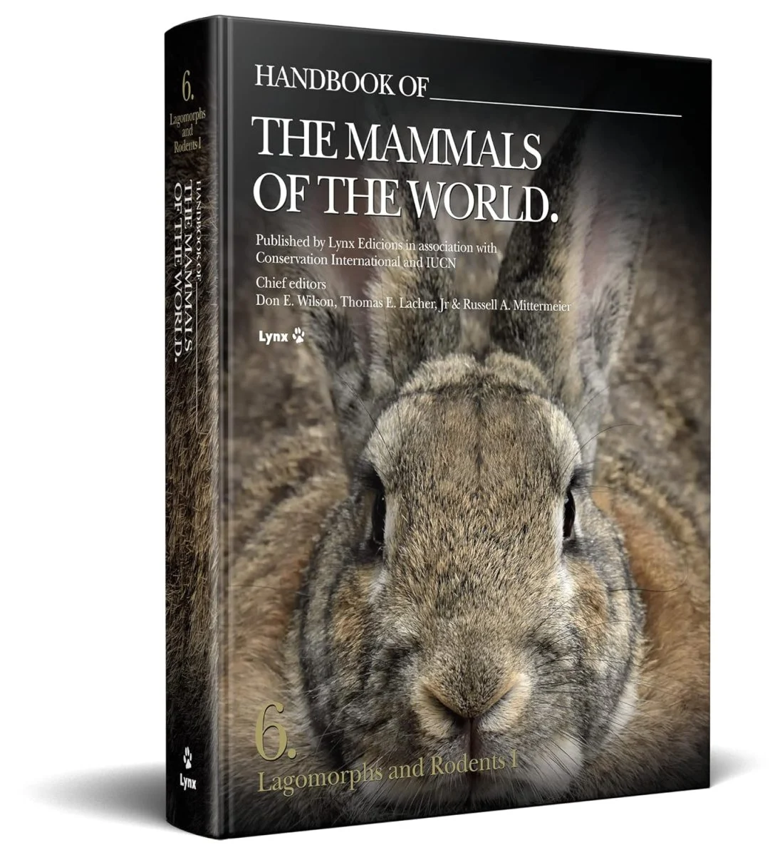 Handbook of the Mammals of the World no 6 -Lagomorphs and Rodents – Lynx 2016 - Image 2