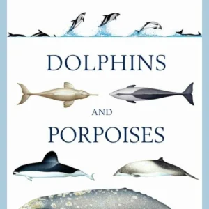 Handbook of Whales, Dolphins and Porpoises – Mark Carwardine 2019