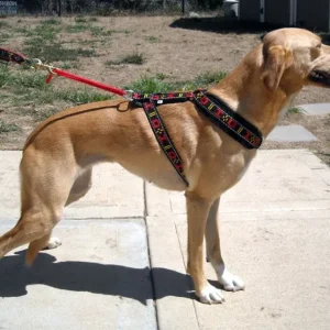 HDA Distance harness